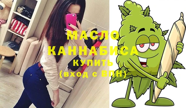 прущий лед Дмитриев