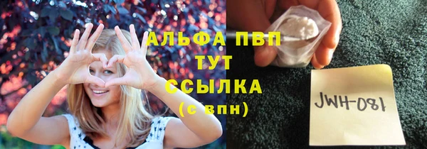 прущий лед Дмитриев