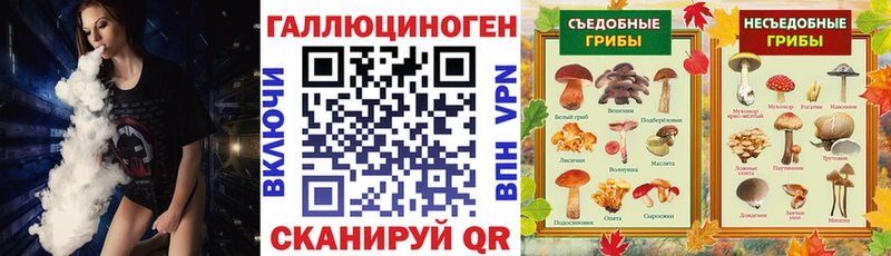 Купить где  Елец  Псилоцибиновые грибы прущие грибы 